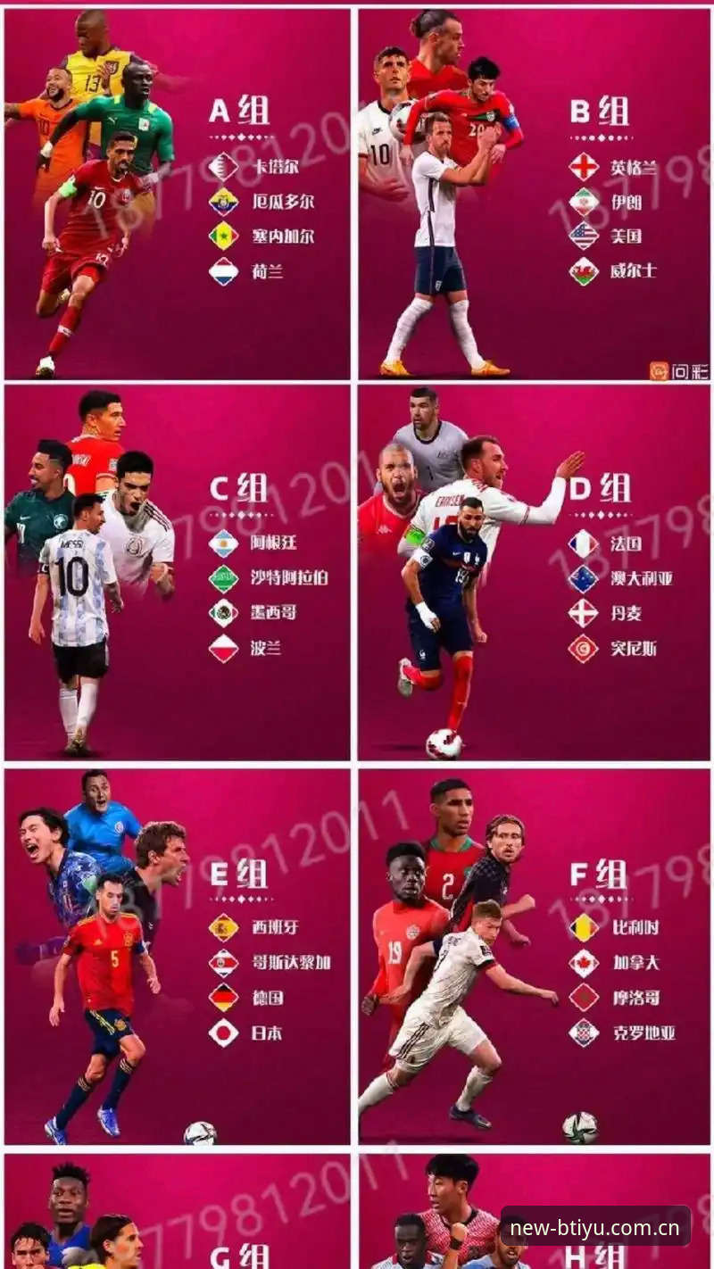 b体育APP下载 B体育官方版使用详解:下载安装与赛事竞猜全攻略